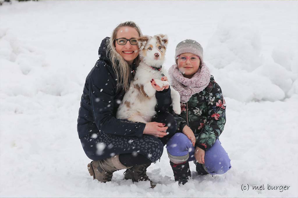 Happy days in the snow - Australian Shepherd Zucht Österreich / Ebbs in Tirol