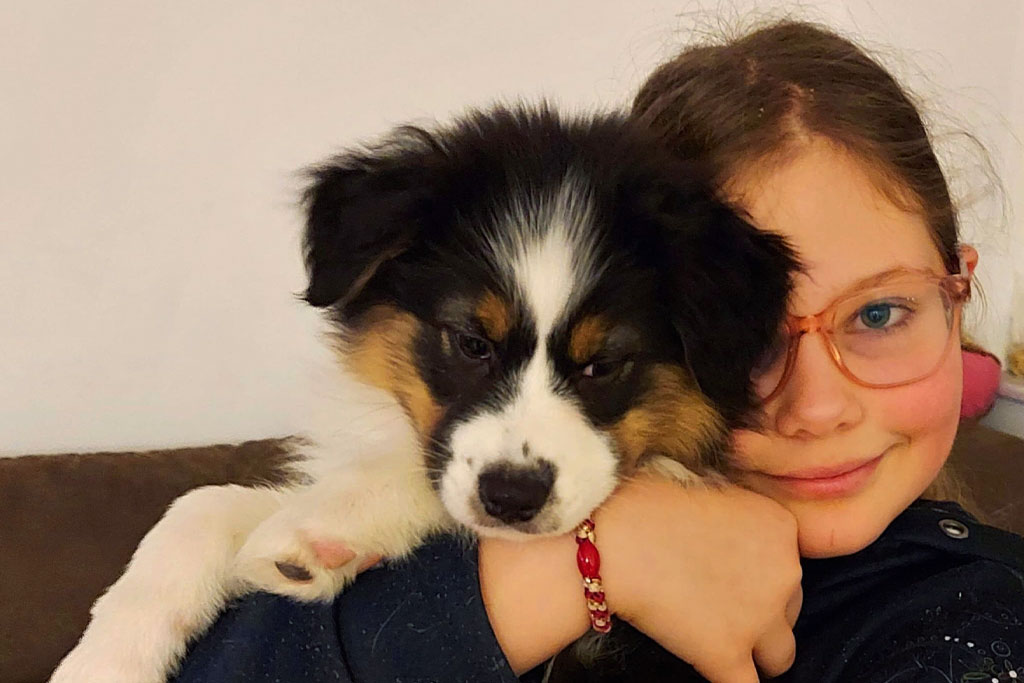 Liebe pur - Australian Shepherd Zucht Österreich / Ebbs in Tirol
